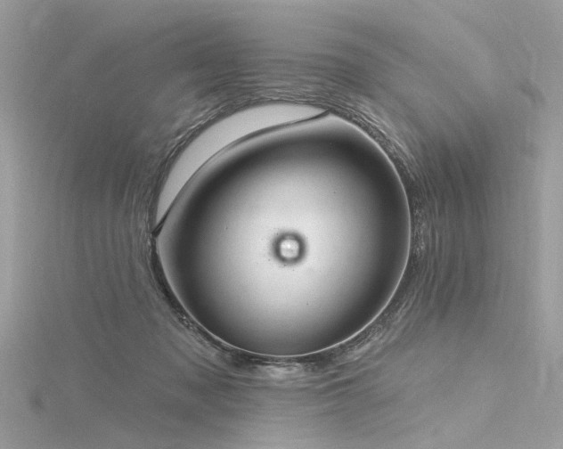 X0000116340317200912011355