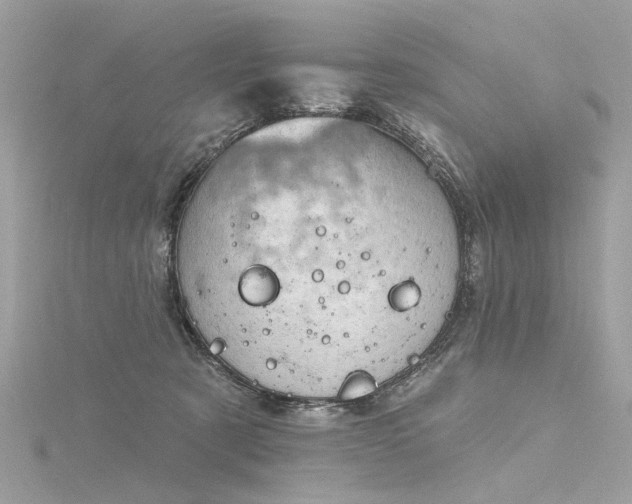 X0000116340321200912011355