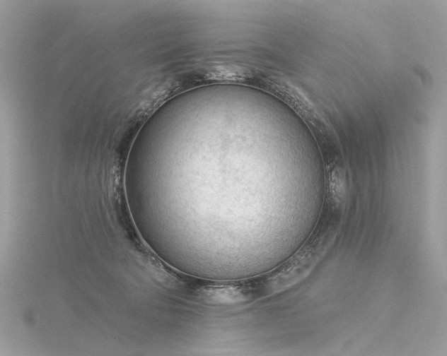 X0000116340322200912011355