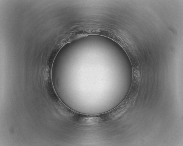 X0000116340323200912011355