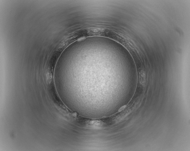 X0000116340324200912011355