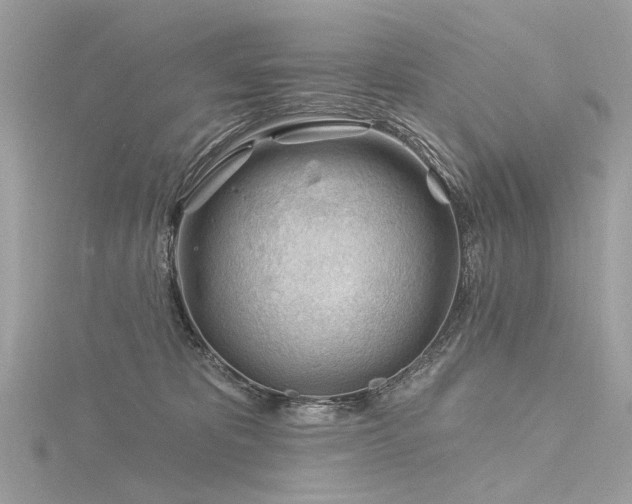 X0000116340325200912011355