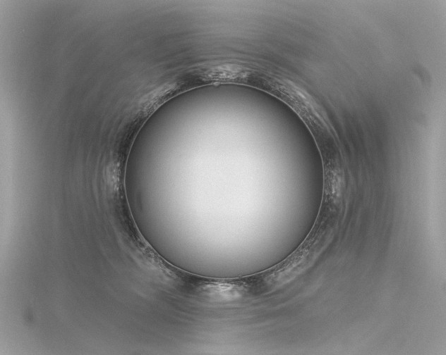 X0000116340326200912011355