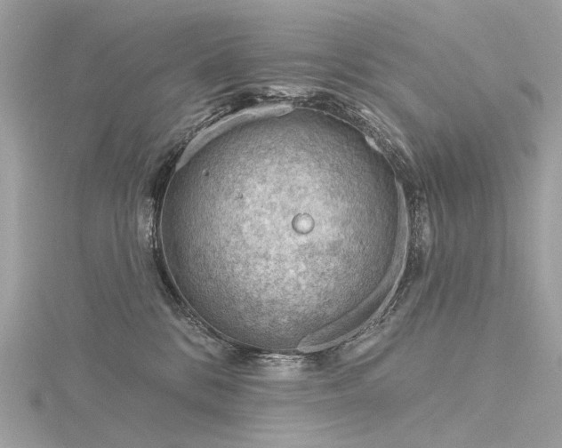 X0000116340328200912011355