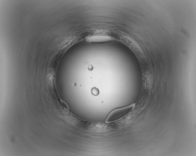 X0000116340329200912011355