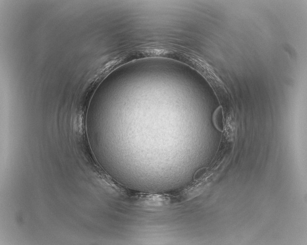 X0000116340330200912011355