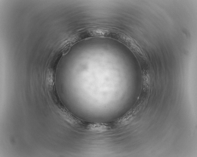 X0000116340331200912011355