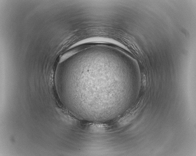 X0000116340332200912011355