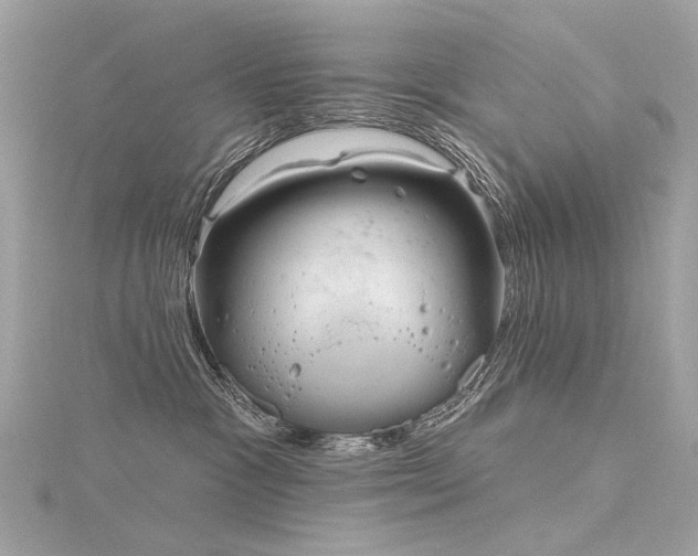 X0000116340333200912011355