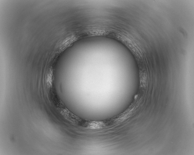 X0000116340334200912011355