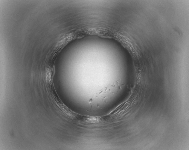 X0000116340335200912011355