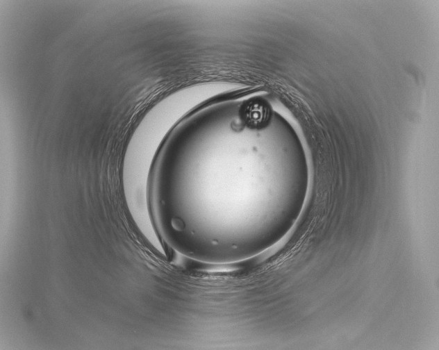 X0000116340336200912011355