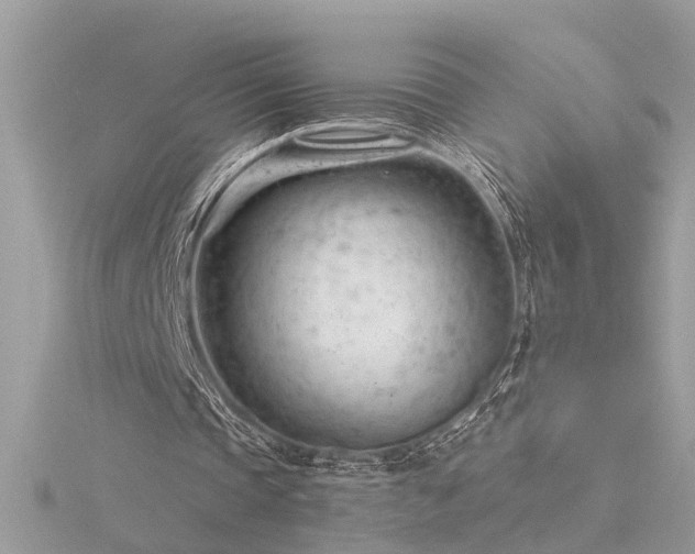 X0000116340337200912011354