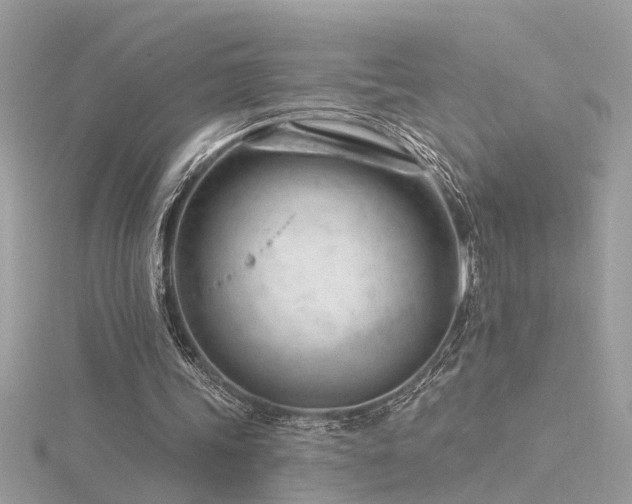 X0000116340339200912011354