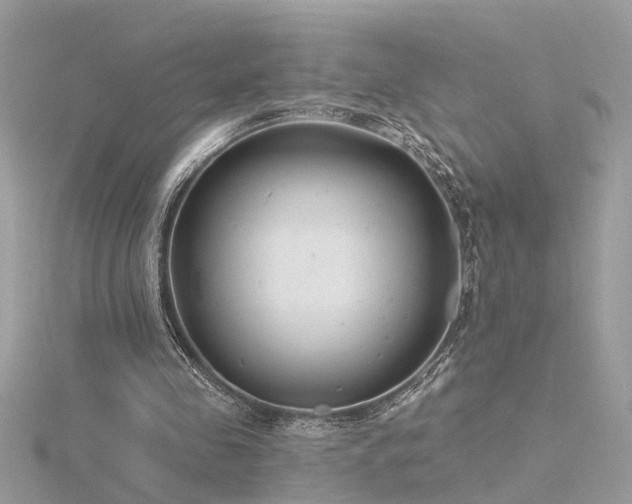 X0000116340341200912011354