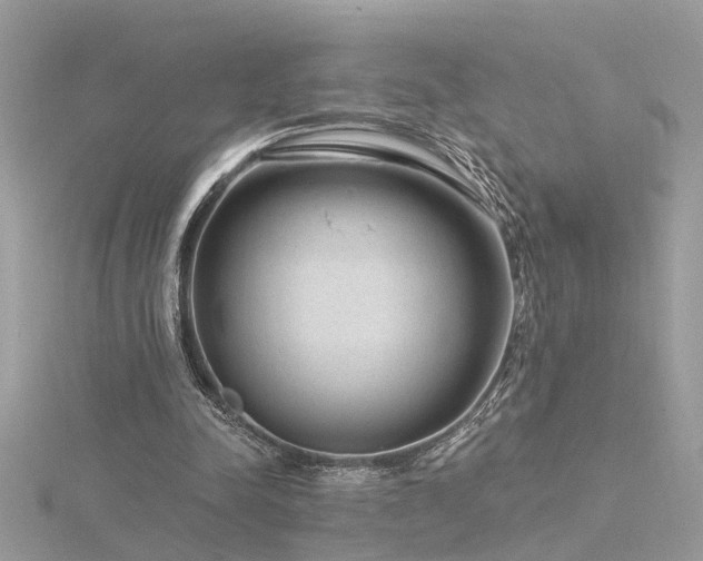 X0000116340342200912011354