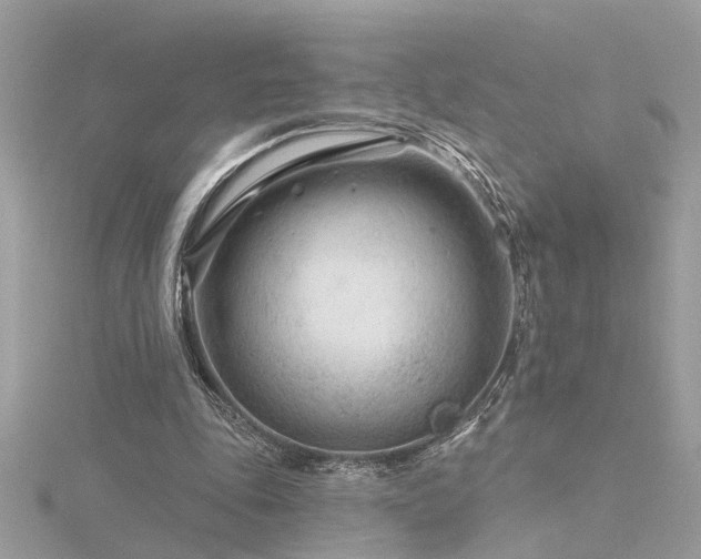 X0000116340343200912011354