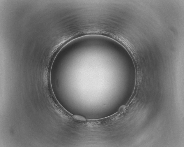 X0000116340345200912011354