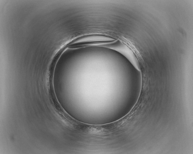 X0000116340346200912011354