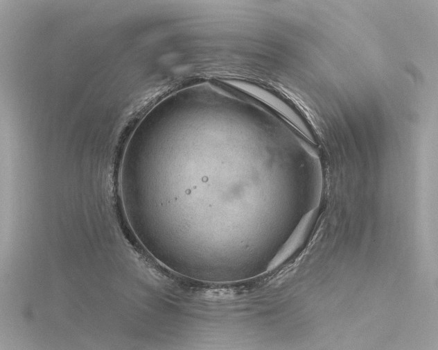 X0000116340353200912011354