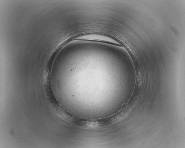 X0000116340355200912011354