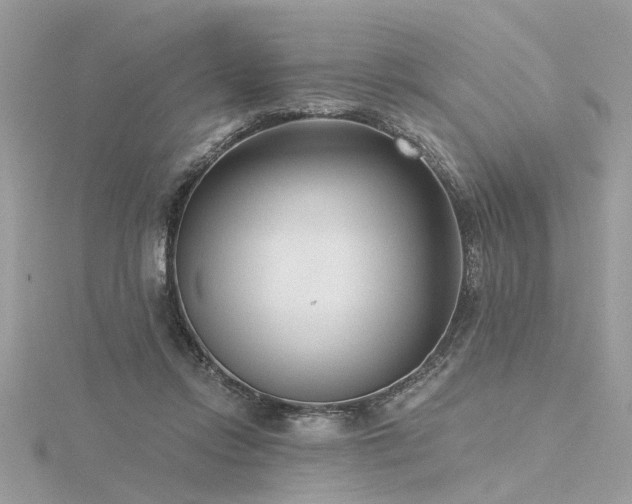 X0000116340358200912011354