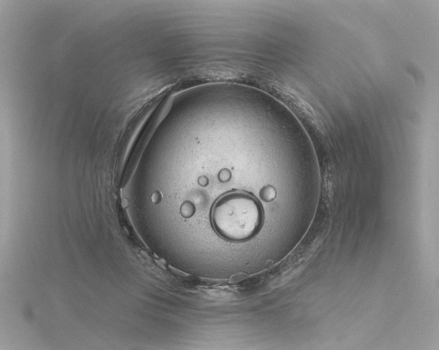 X0000116340359200912011354