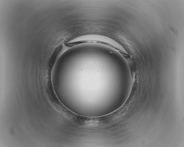 X0000116340362200912011354