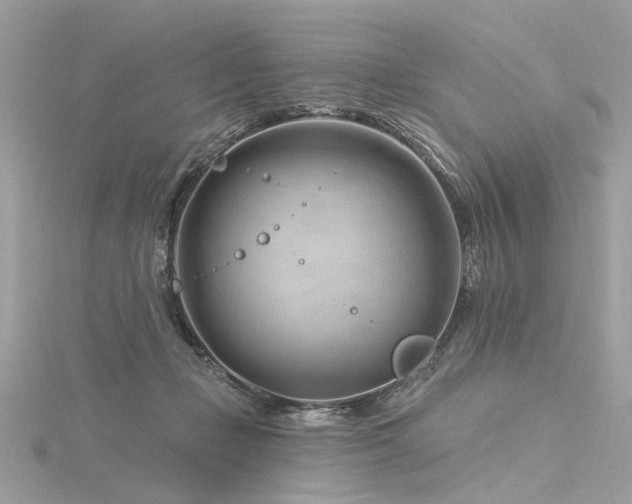 X0000116340365200912011354