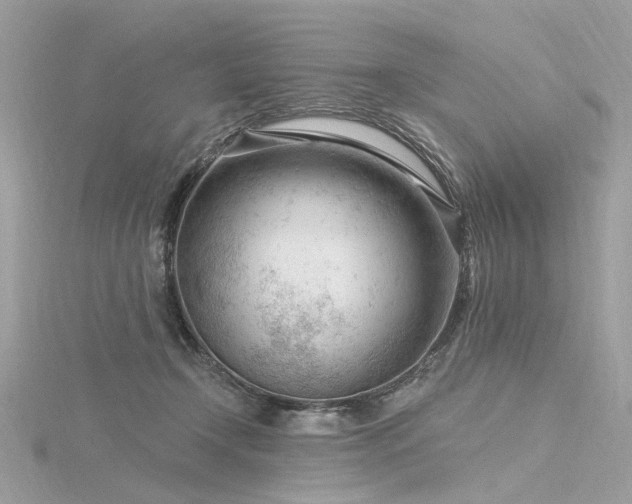 X0000116340366200912011354