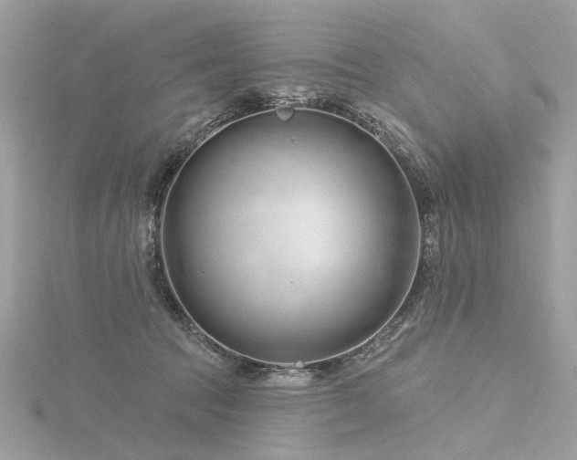 X0000116340369200912011354