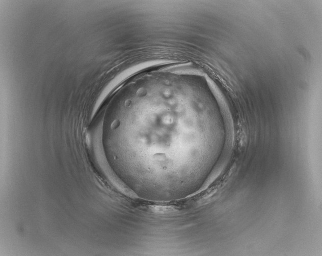 X0000116340371200912011354