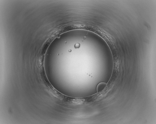 X0000116340373200912011354