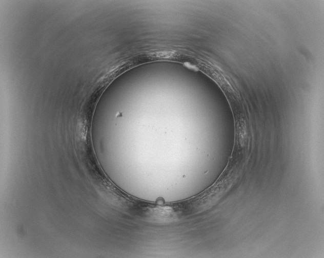 X0000116340374200912011354