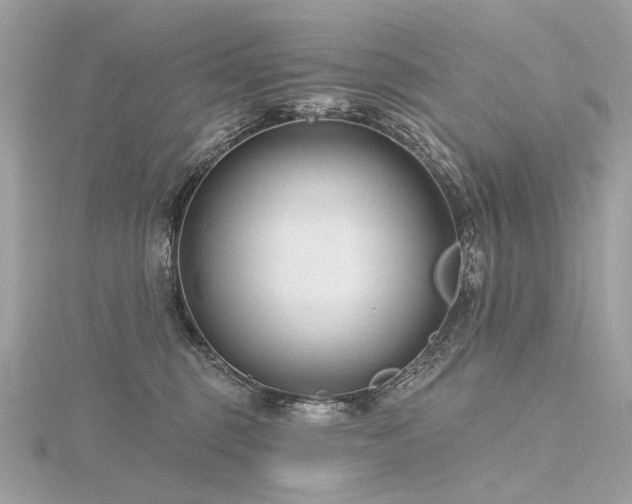 X0000116340375200912011354