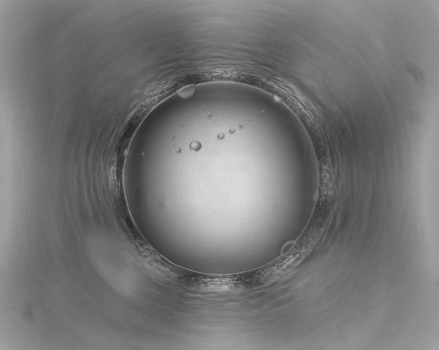 X0000116340377200912011354