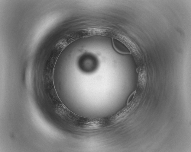 X0000116340381200912011355