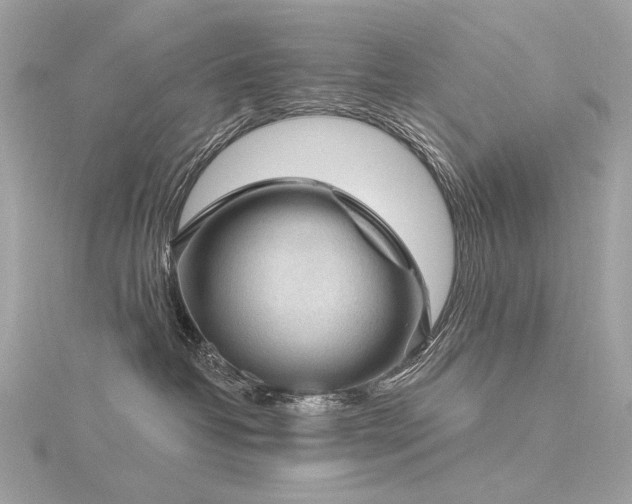 X0000116340382200912011355