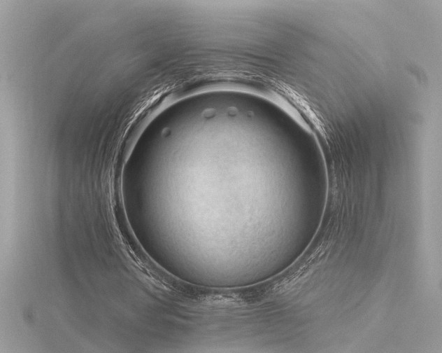 X0000116340386200912011354