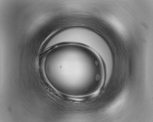 X0000116340387200912011354