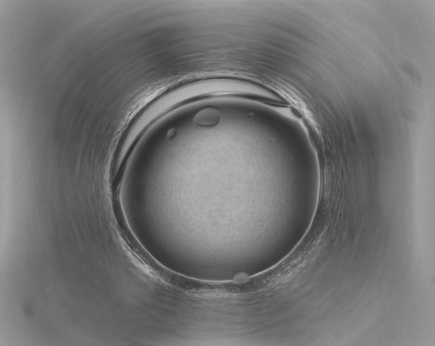 X0000116340389200912011354