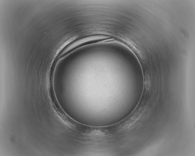 X0000116340390200912011354