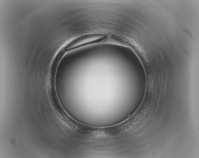 X0000116340392200912011354