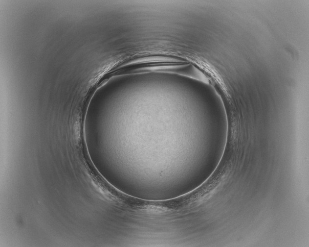 X0000116340393200912011354