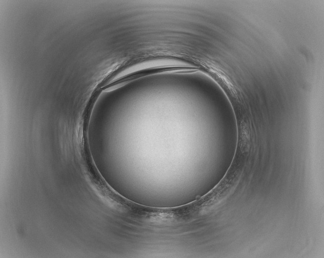 X0000116340398200912011354