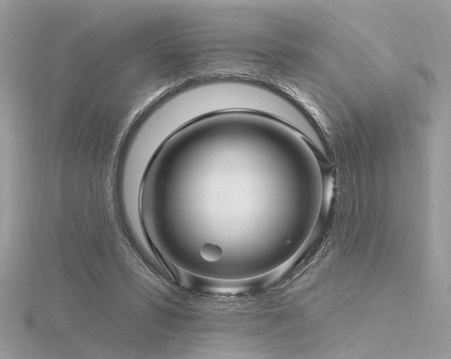 X0000116340399200912011354