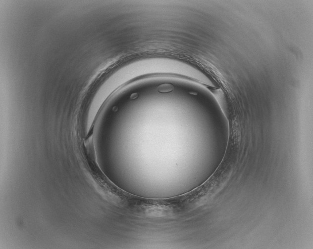 X0000116340400200912011354