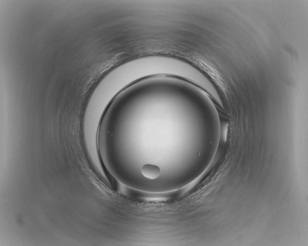 X0000116340401200912011354