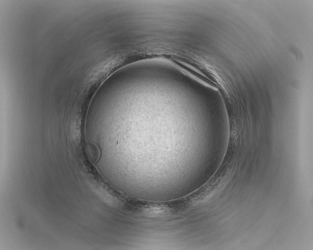 X0000116340402200912011354