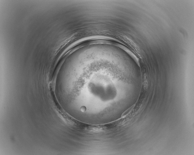 X0000116340405200912011354